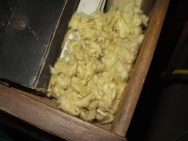 House mouse nest in drawer